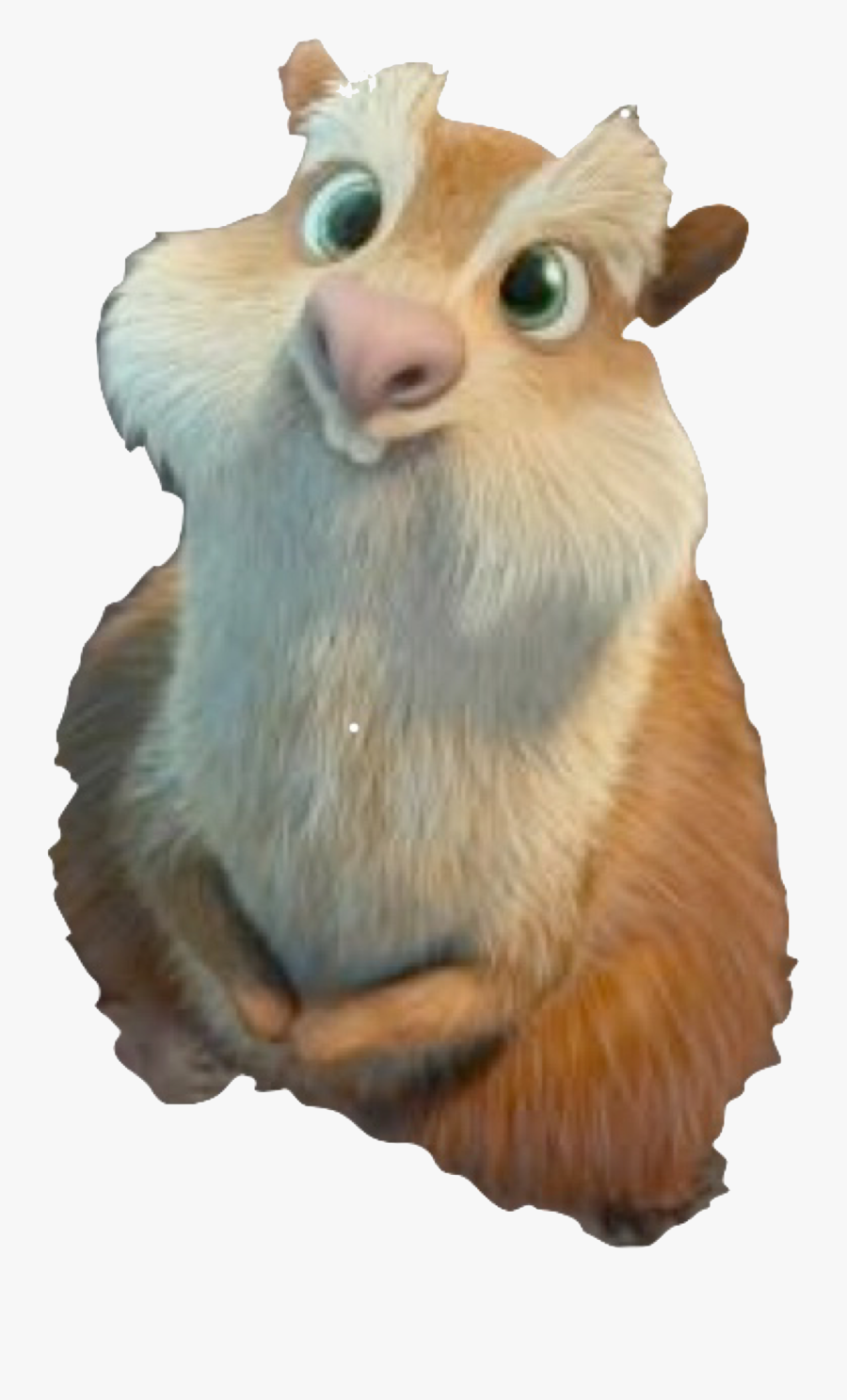 Transparent Quokka Png - Punxsutawney Phil, Transparent Clipart