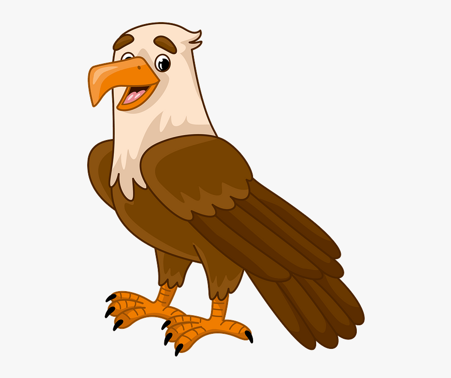 Bald Eagle, Transparent Clipart