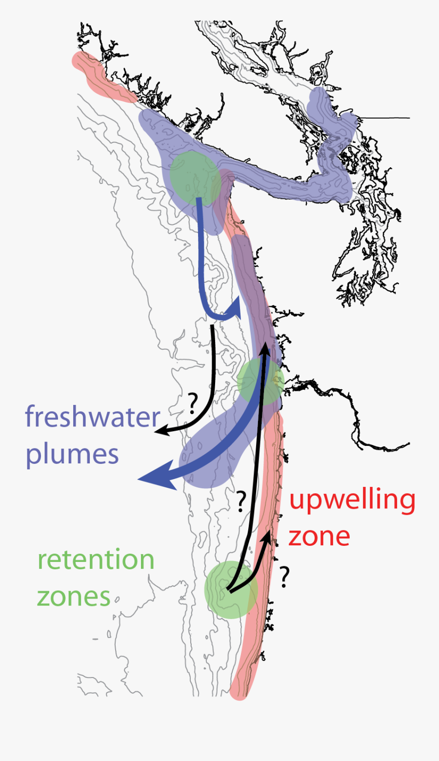 Harmful Algal Blooms Sarah - Algae Bloom Advisory In Pacific Northwest, Transparent Clipart