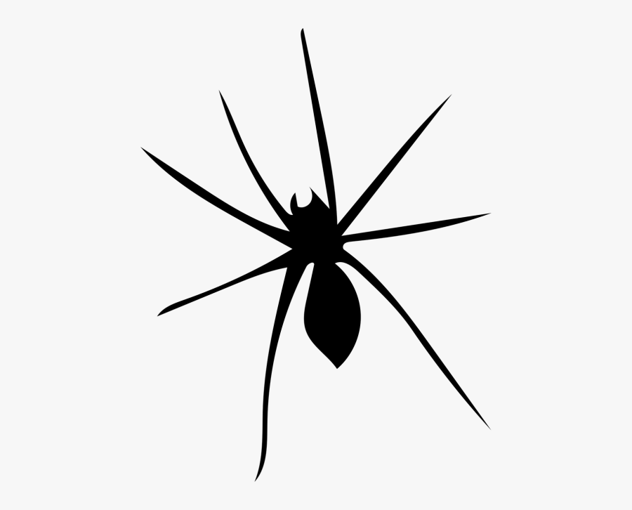 Widow Spider Clipart , Png Download - Widow Spider, Transparent Clipart