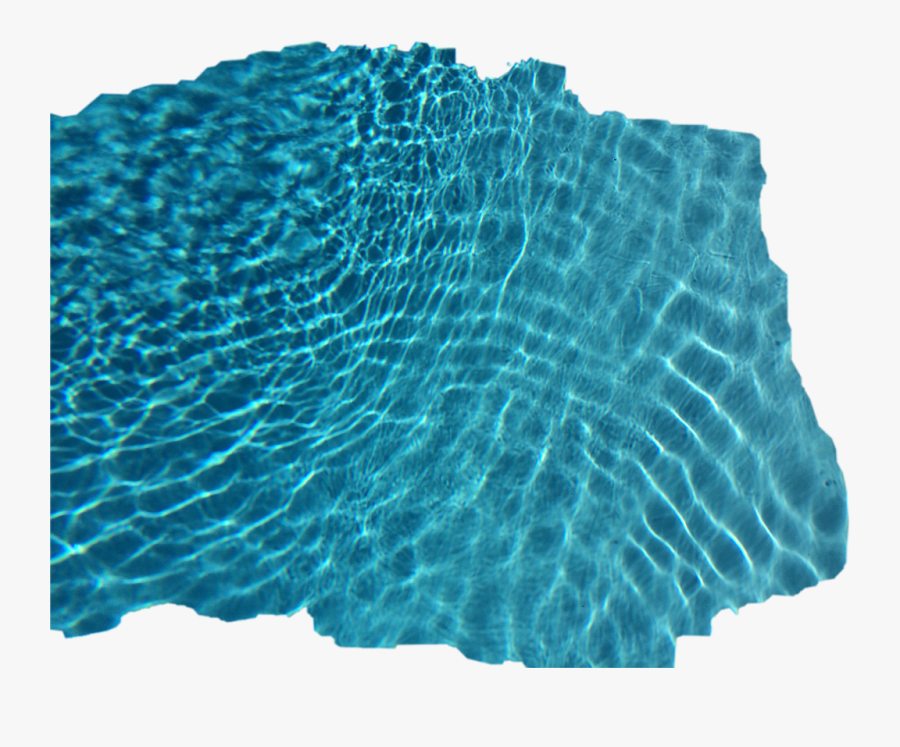 My First Sticker - Ocean, Transparent Clipart