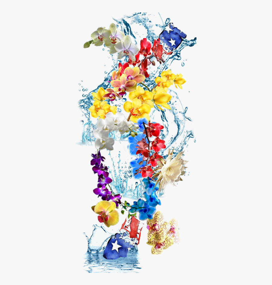 Bouquet, Transparent Clipart