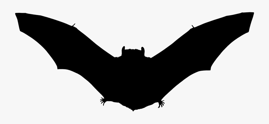 Bat Silhouette, Transparent Clipart