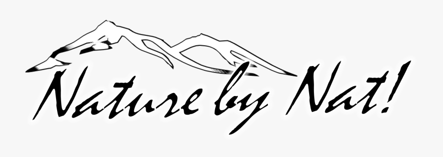 Nature By Nat - Calligraphy, Transparent Clipart