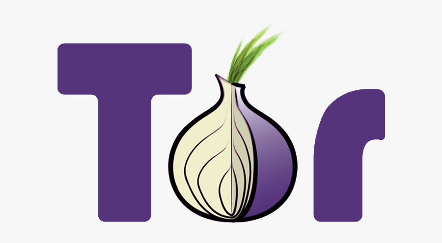 Tor Browser Flaw - Tor Onion, Transparent Clipart