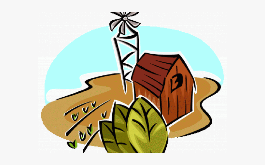 Cotton Clipart Cotton Ball Free Clipart On Ripe Corn - Agriculture Clipart, Transparent Clipart