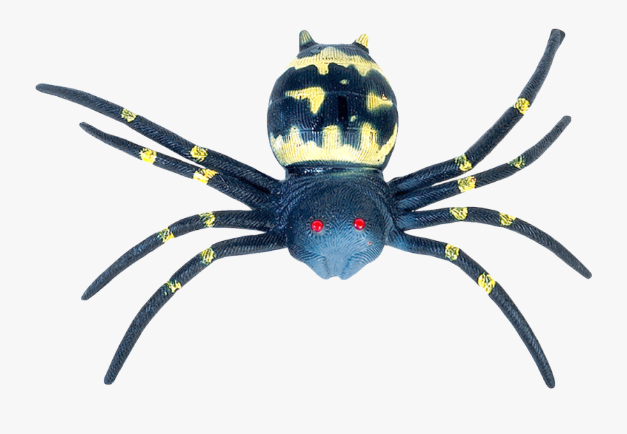 Southern Black Widow, Transparent Clipart