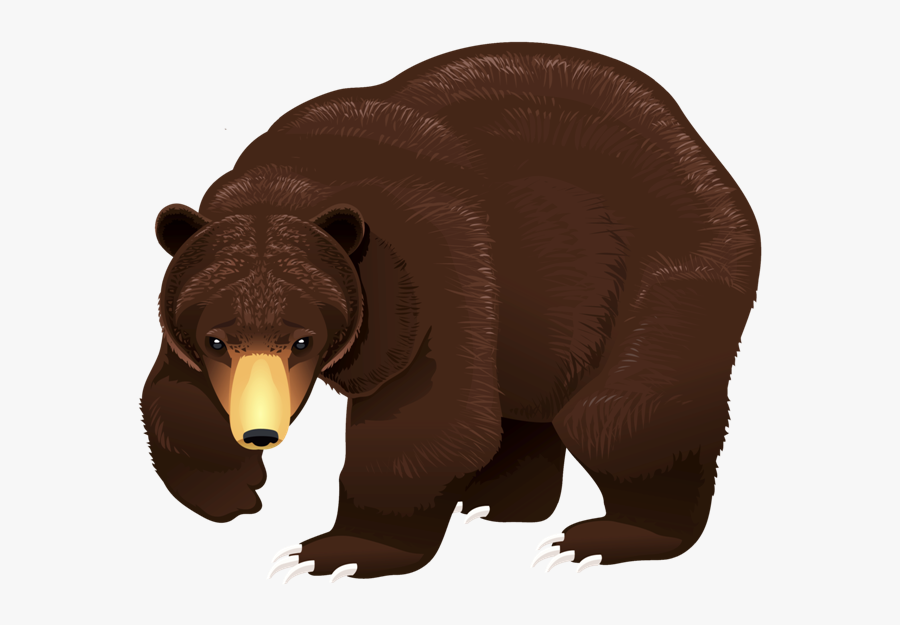 Brown Bear Portable Network Graphics Vector Graphics - หมี ป่า การ์ตูน Png, Transparent Clipart