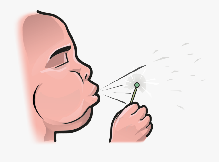 Blow - Blow Verb, Transparent Clipart