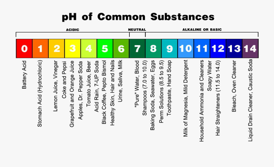 Clip Art Should You Worry About - Substances On Ph Scale, Transparent Clipart
