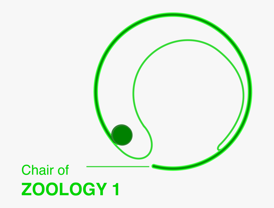 For Two Centuries, Cell And Developmental Biology Has - Circle, Transparent Clipart