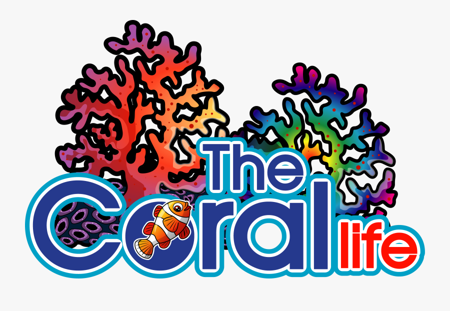 Aquaticlife Clipart , Png Download, Transparent Clipart