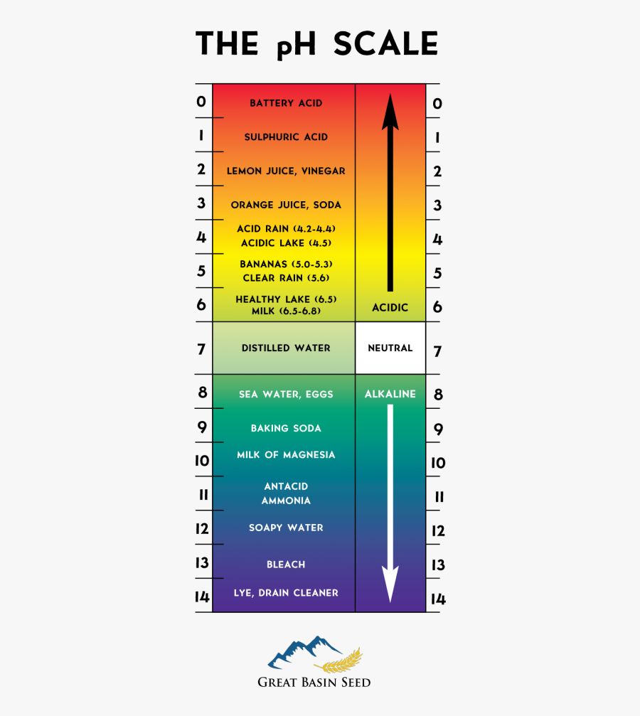 Png Ph Scale No Background , Transparent Cartoons - Ph Scale No Background, Transparent Clipart