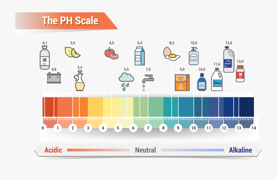 In Chemistry, Ph Is A Logarithmic Scale Used To Specify - Ph Level, Transparent Clipart