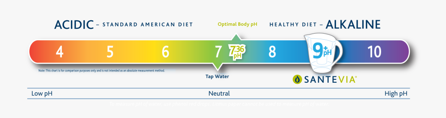 Clip Art Ph Color Scale - Healthy Ph Level For Water, Transparent Clipart
