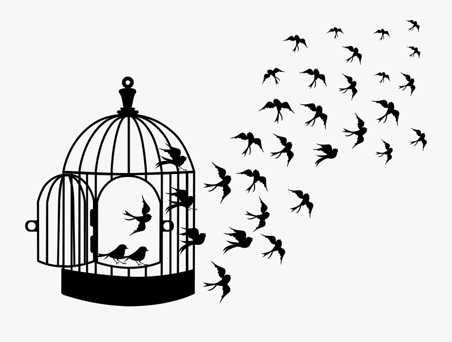 Bird Flying Out Of A Cage Cartoon, Transparent Clipart