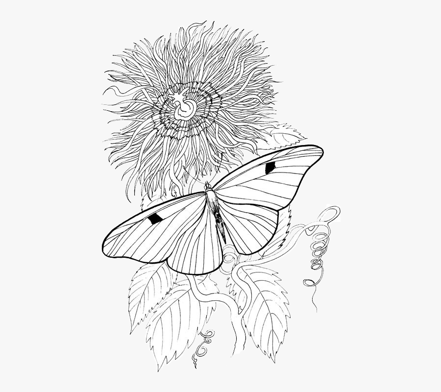 Illustration, Transparent Clipart