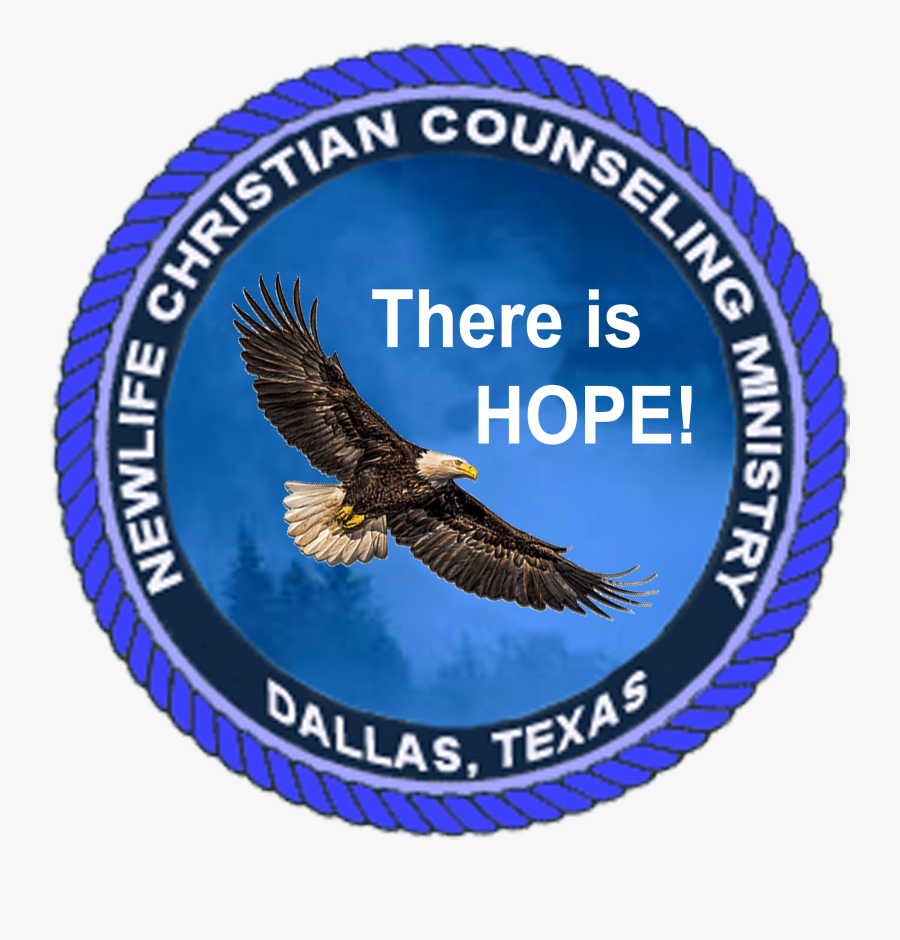 Hawk, Transparent Clipart