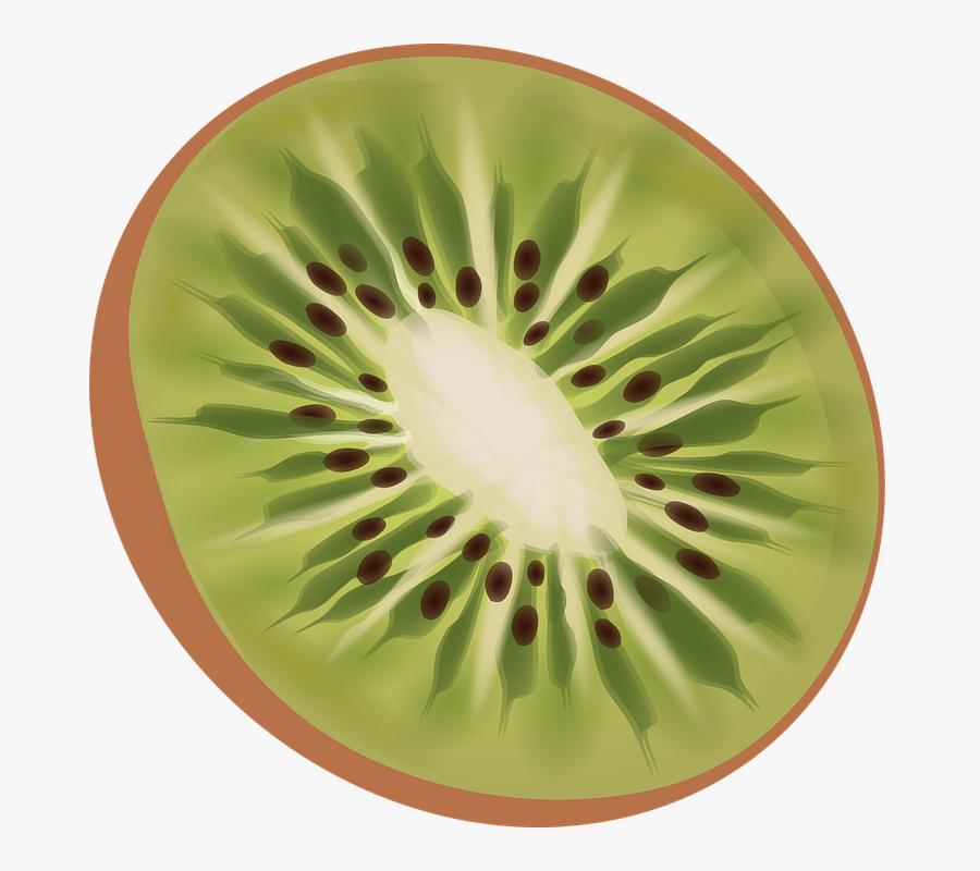 Kiwi Png, Transparent Clipart