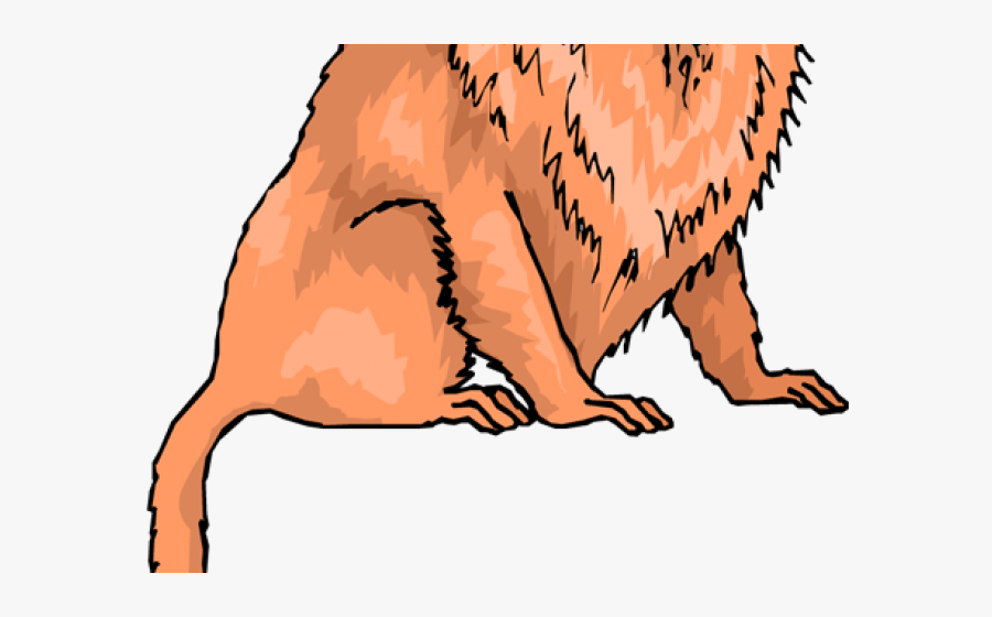Golden Lion Tamarin Clipart, Transparent Clipart