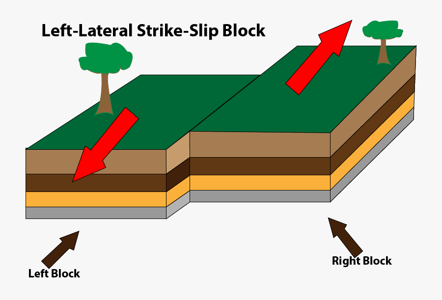 Diagram, Transparent Clipart
