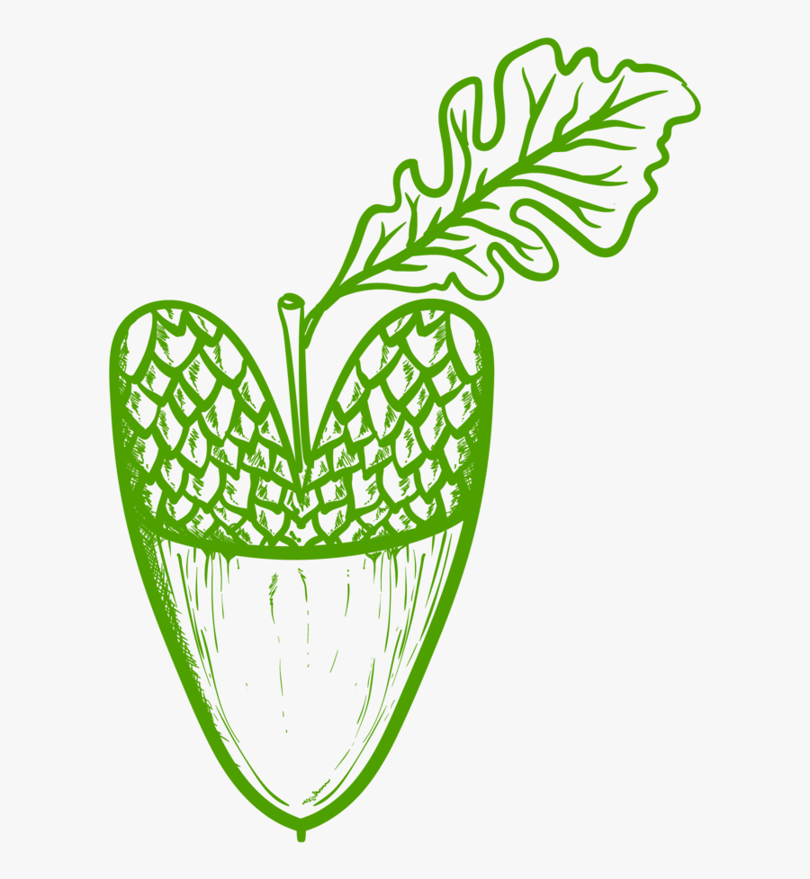 Forest Clipart Nature , Transparent Cartoons, Transparent Clipart