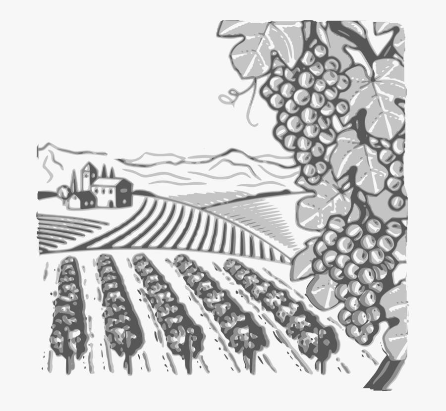 Visual Arts,art,line Art - Vineyard Clipart, Transparent Clipart