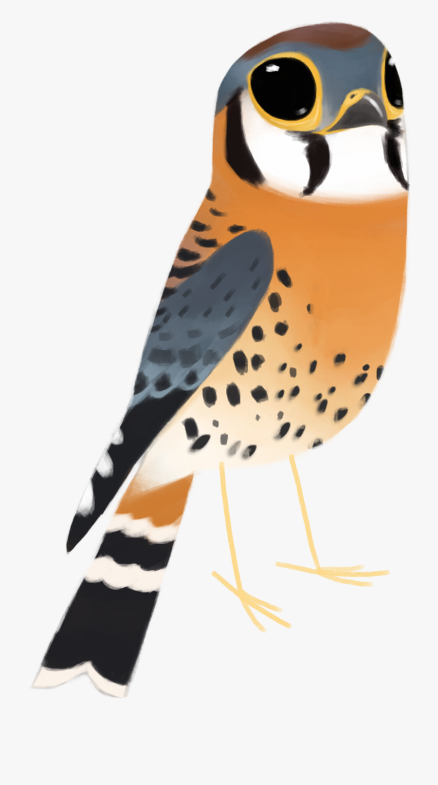 Salmon Clipart Woodcut - Falco Sparverius Png, Transparent Clipart