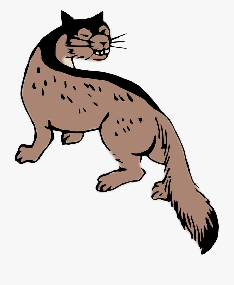 Musang Clipart, Transparent Clipart