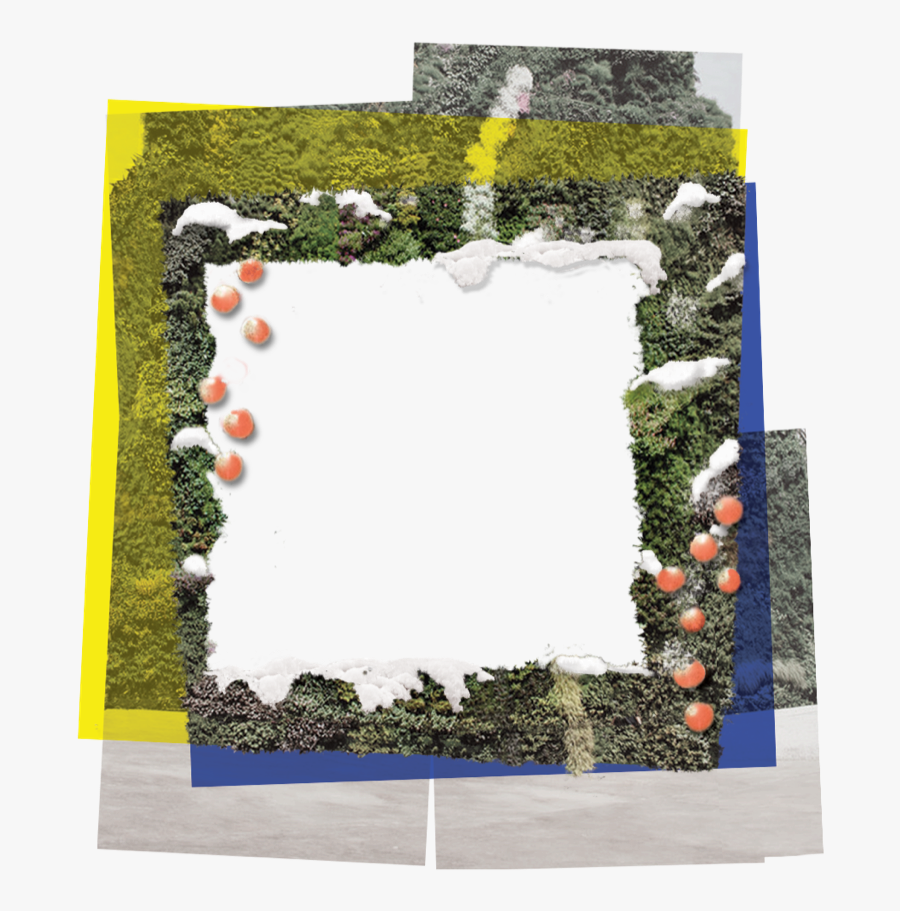 Biowreathilia By Daniel Aronberg - Picture Frame, Transparent Clipart