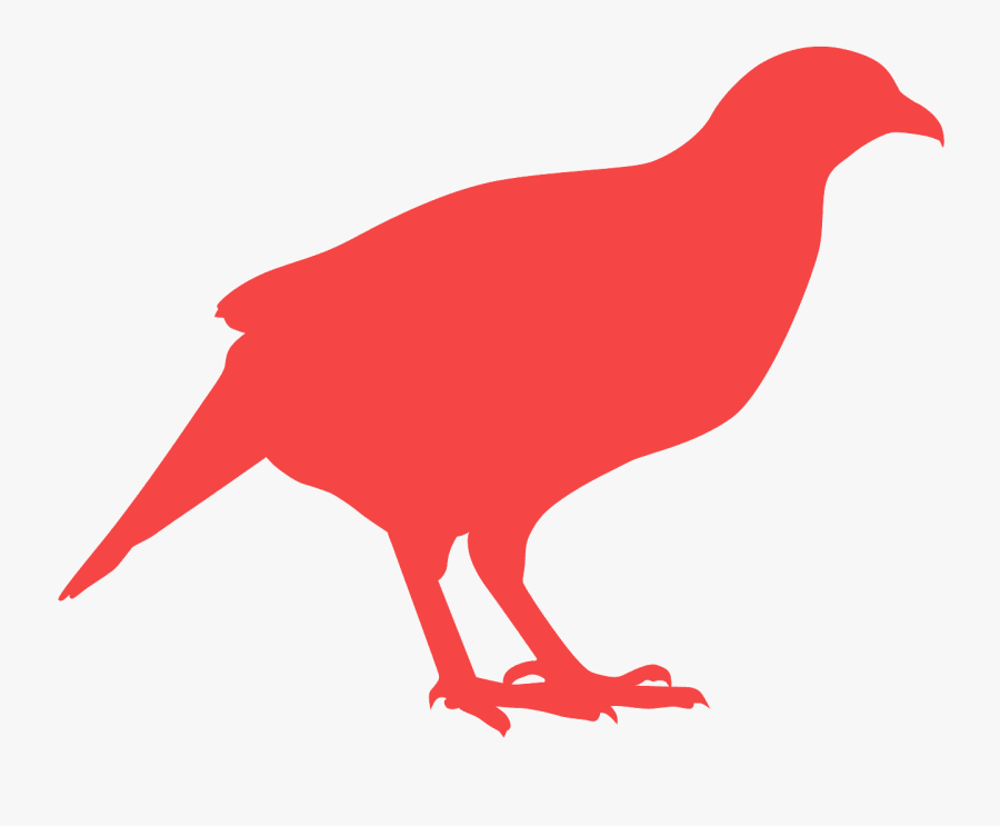 Chicken, Transparent Clipart