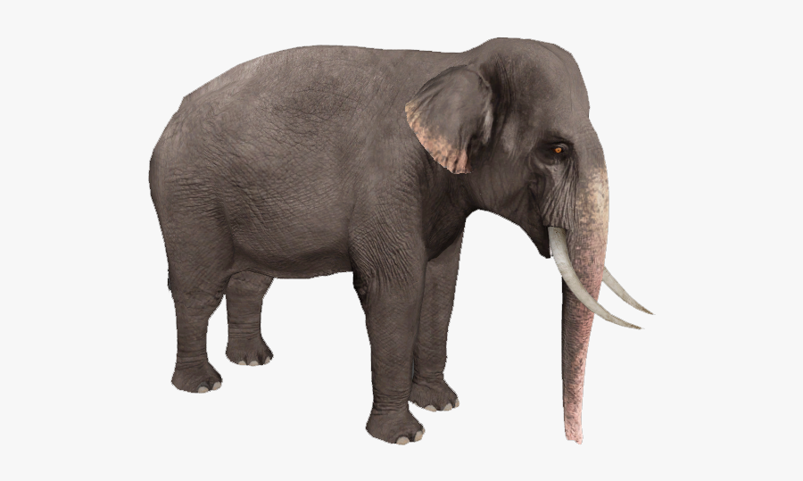 Png Pictures Free Icons - Asian Elephant Transparent Background, Transparent Clipart