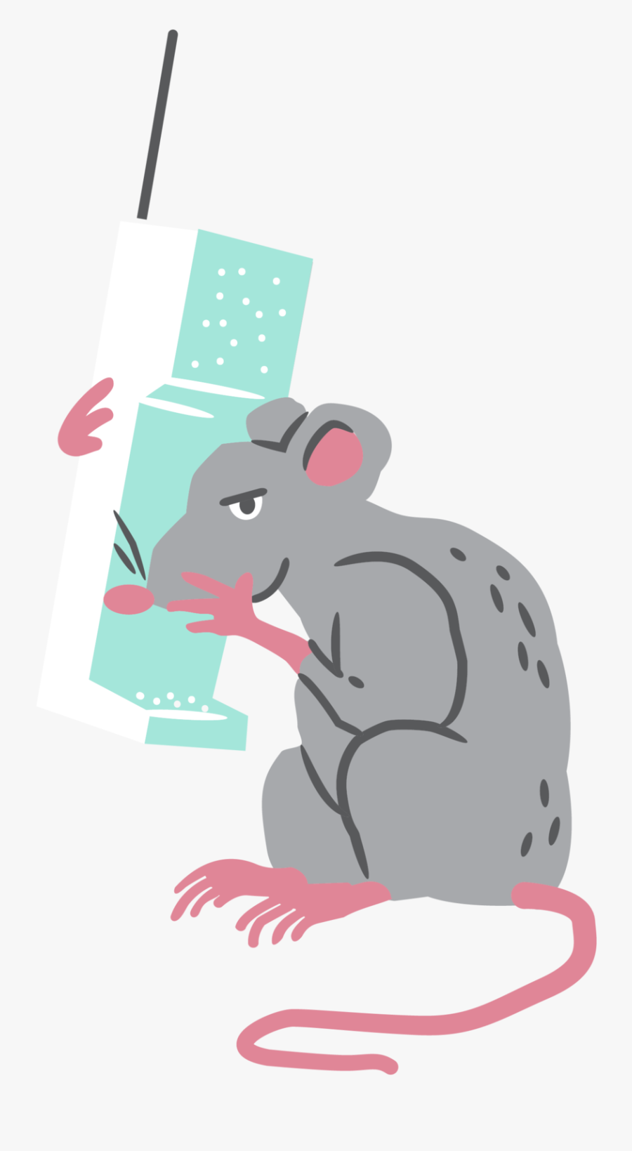 Rat, Transparent Clipart