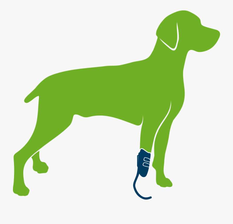 Dog With Prosthesis Only - Prosthesis Dog, Transparent Clipart