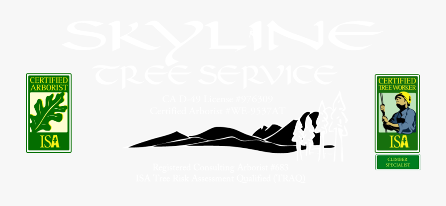 Skyline Tree Service Mammoth Lakes And Bishop Ca - Isa Certified Arborist, Transparent Clipart