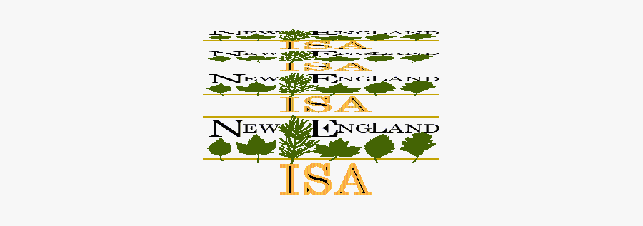 Northampton Hosts New England Tree Climbing Competition", Transparent Clipart