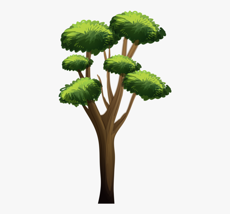 Tree, Transparent Clipart