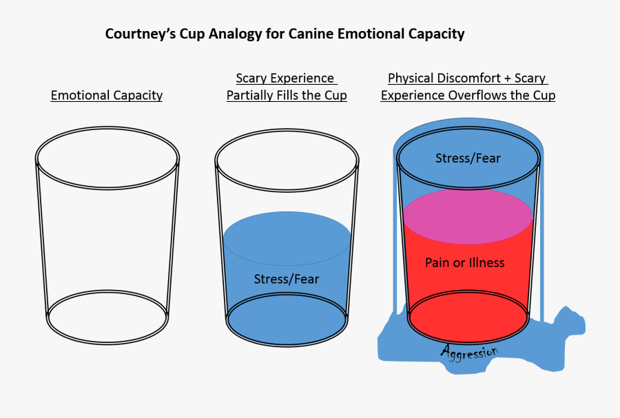 Physical Discomfort And Fear - Cup And Stress Analogy, Transparent Clipart