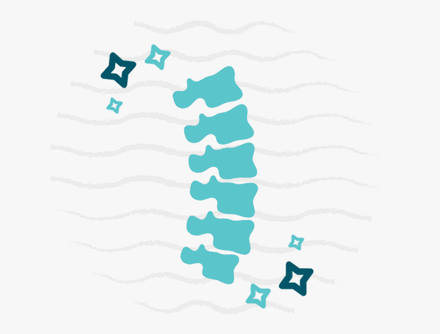 Chiropractic Spine Clip Art, Transparent Clipart