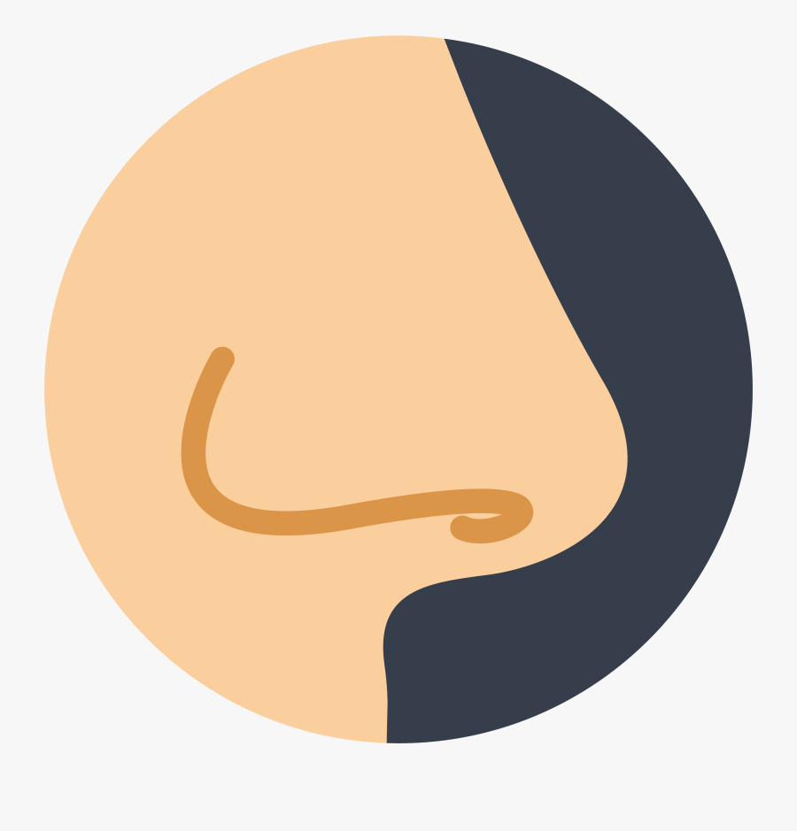 Otorhinolaryngology Irrigation Mucus Icon - Nose Png Icon, Transparent Clipart