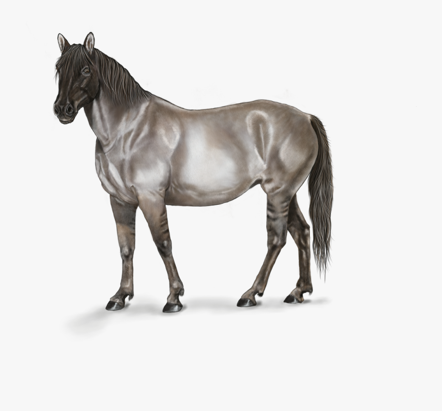 Transparent Horse Head Mask Png - Digital Art Horse, Transparent Clipart