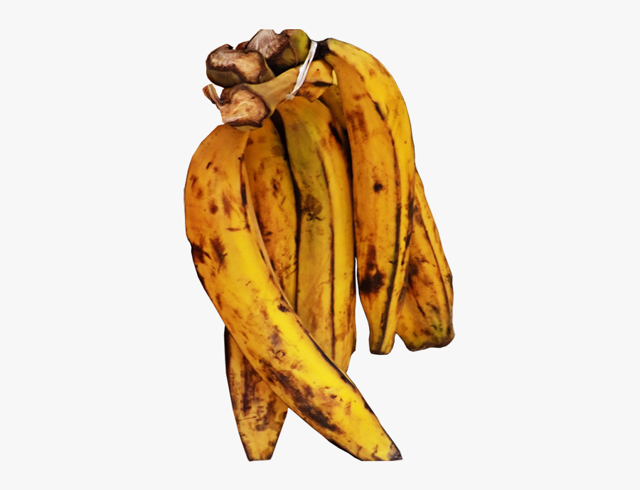 Fried Plantain Png - Bunch Of Ripe Plantain, Transparent Clipart
