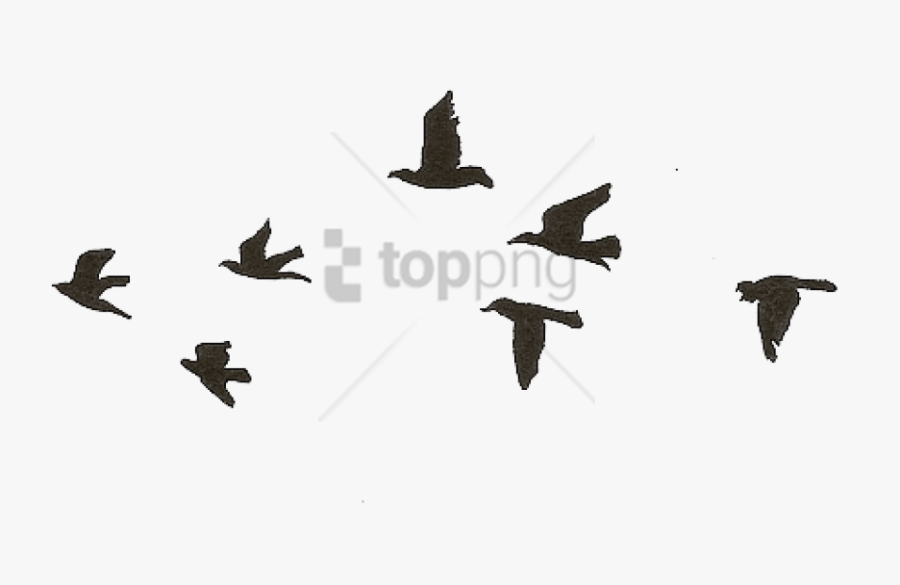 Bird Gif Png - Birds Flying Gif Png, Transparent Clipart