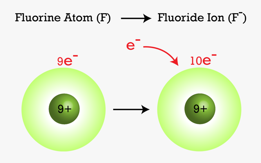Заряд атома фтора. Ионы фтора. Атомы и ионы. Анион фтора.