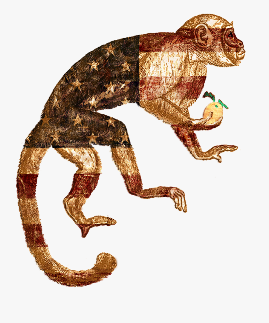 Illustration, Transparent Clipart