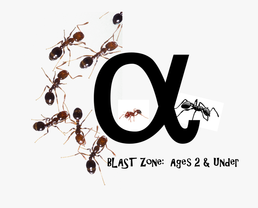 Fire Ant , Free Transparent Clipart - ClipartKey