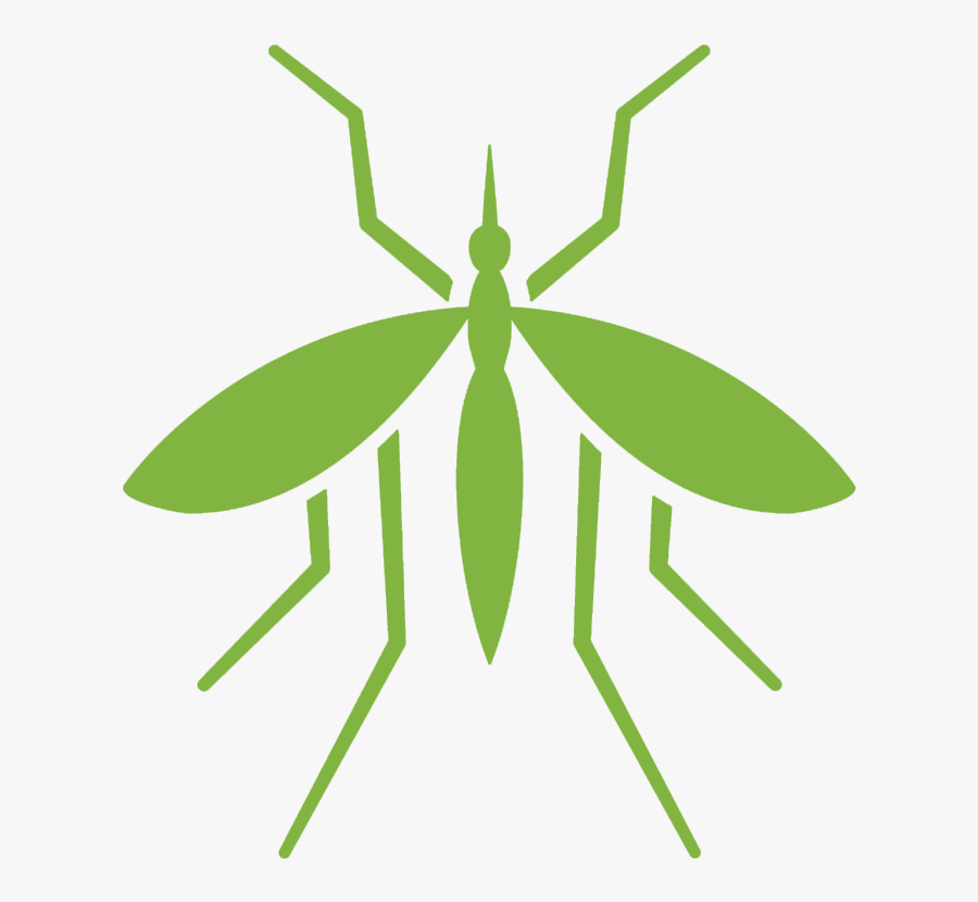 Mosquito Treatments - Mosquito White Black Png, Transparent Clipart