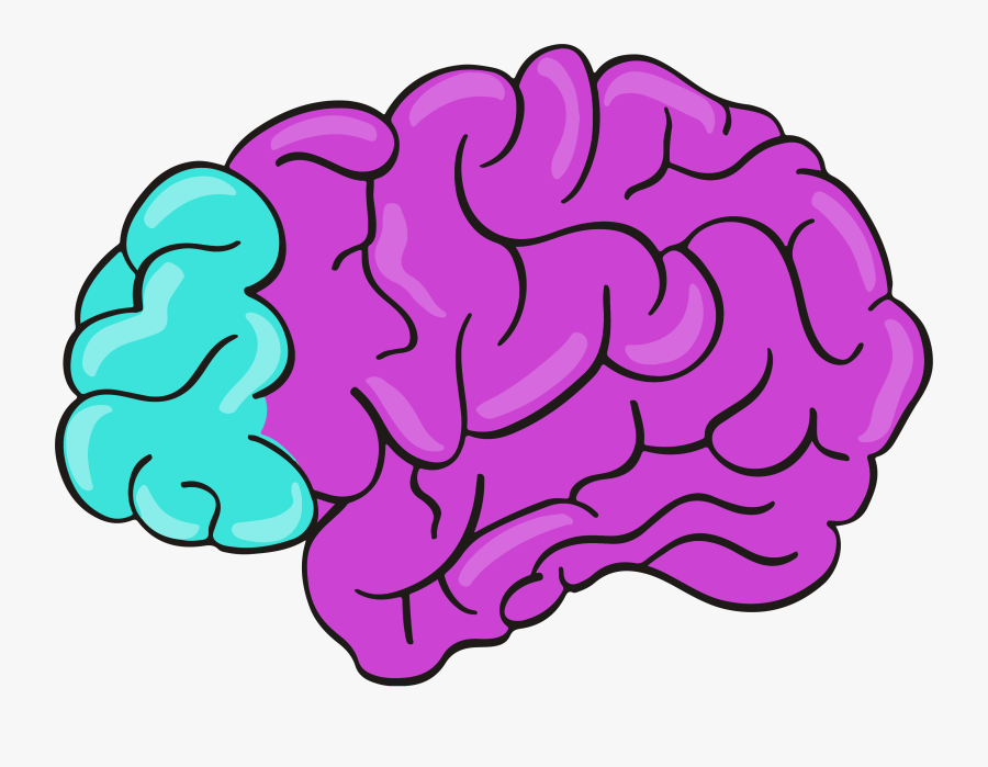 Sleeping Vector Sleep Deprivation, Transparent Clipart