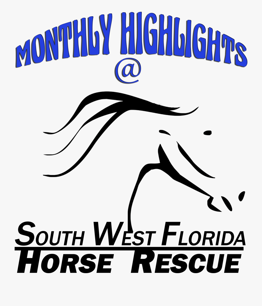 Calligraphy, Transparent Clipart