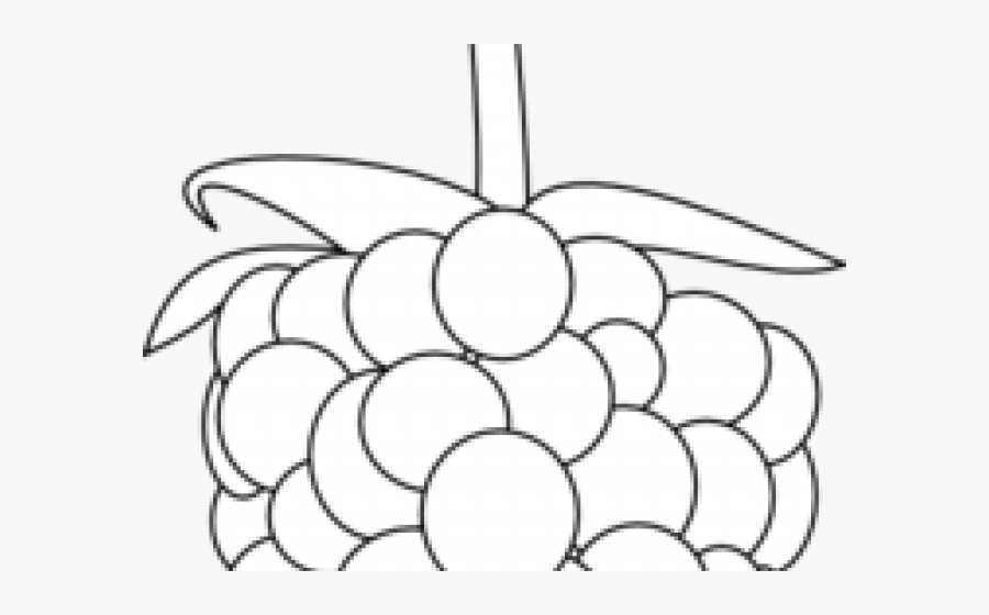 Raspberry Clipart Outline - Illustration, Transparent Clipart